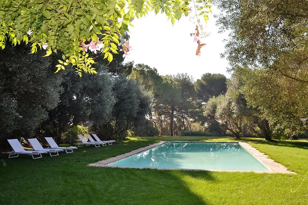 Villa Masia Sitges: Farmhouse Retreat with Vineyard Views Cubelles